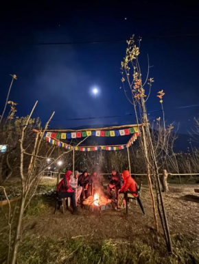 Basecamp Manali
